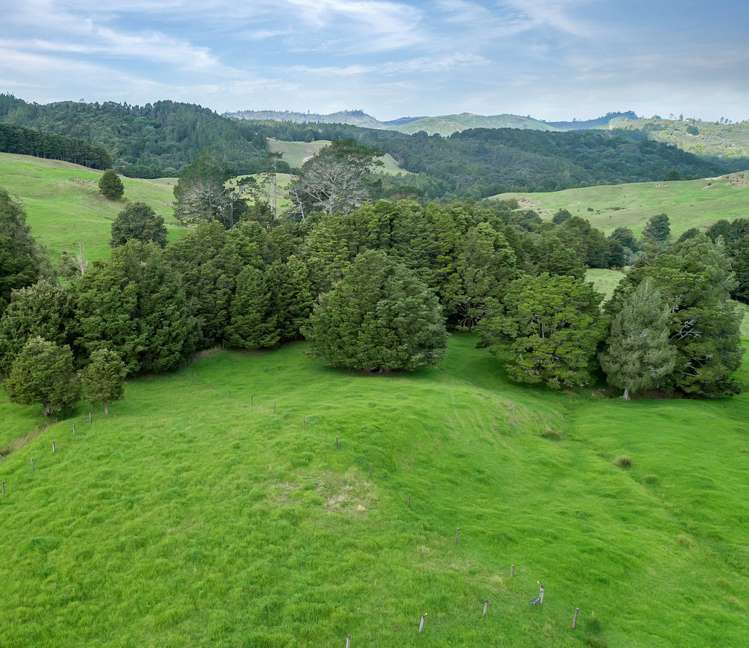 237 Snooks Road Maungatapere_19