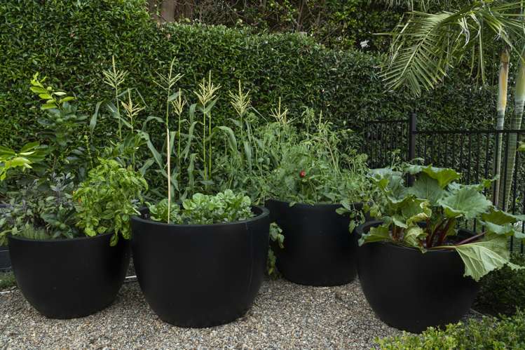 21 Mount Saint John Avenue Epsom_27