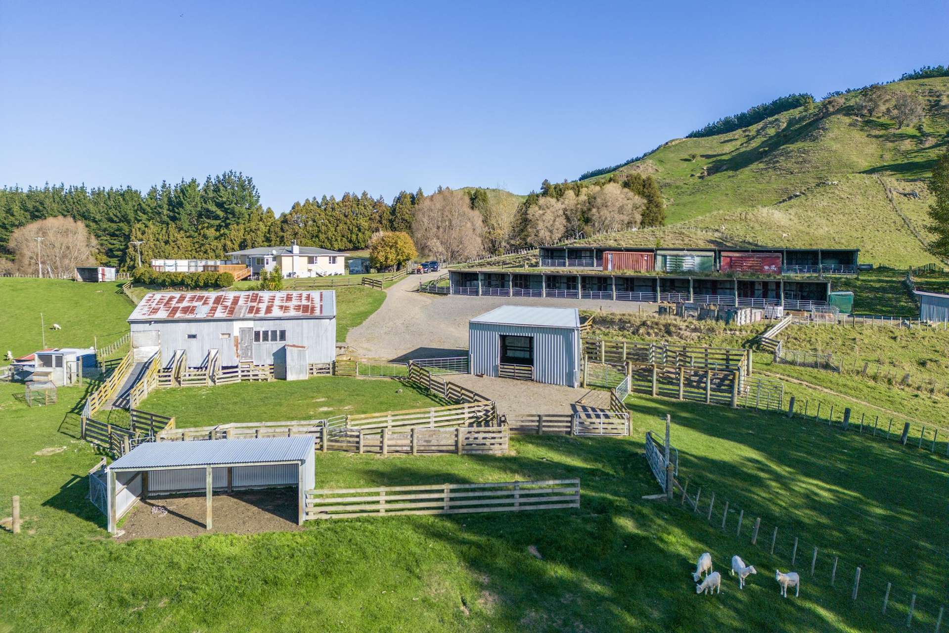 205 Tourere Road Dannevirke_0