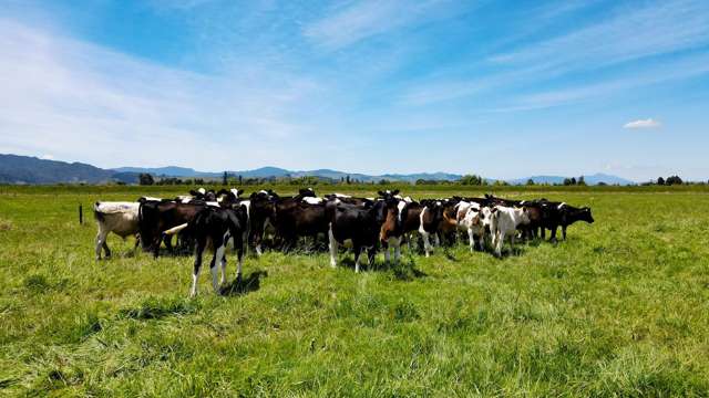 314 Huirau Road Turua_1