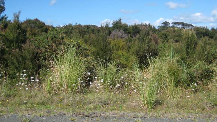 130 Stratford Drive Cable Bay_11