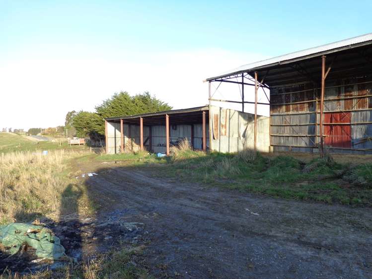 Old Port Road Catlins Surrounds_7