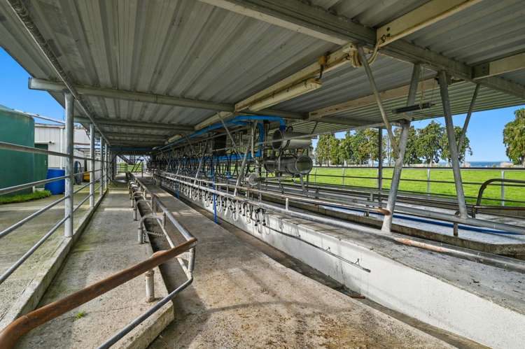 365 Halcrow Road Reporoa_6