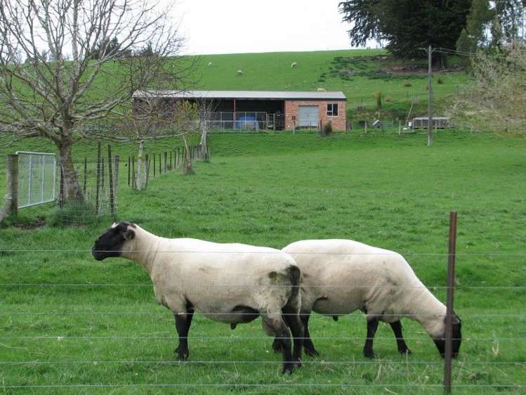 14 Grindon Street Waitahuna_16