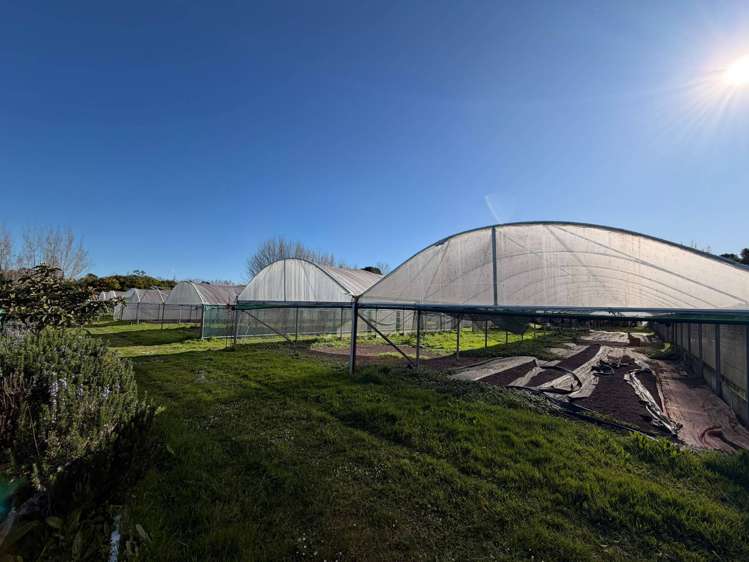 18 Brigham Creek Road Whenuapai_3