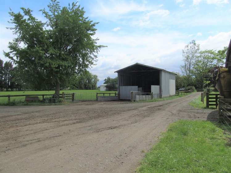 183 Waghorn Road Wardville_11