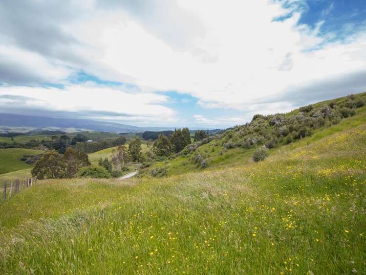 11 Ridge Road Pohangina_16