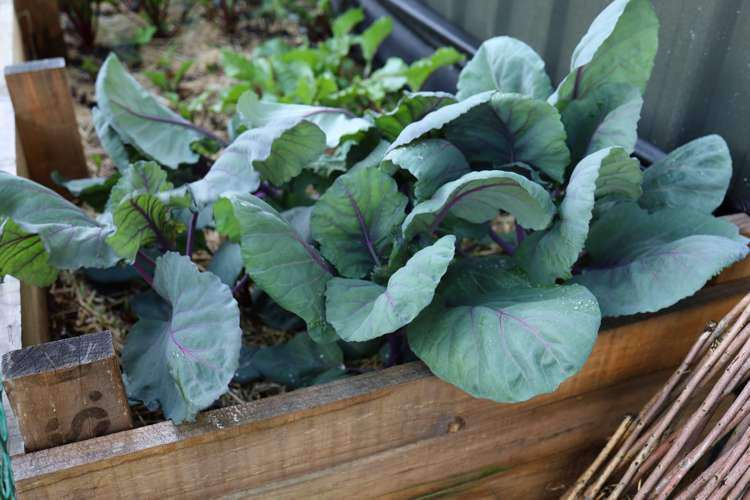 17 Tuke Lane Wanaka_15