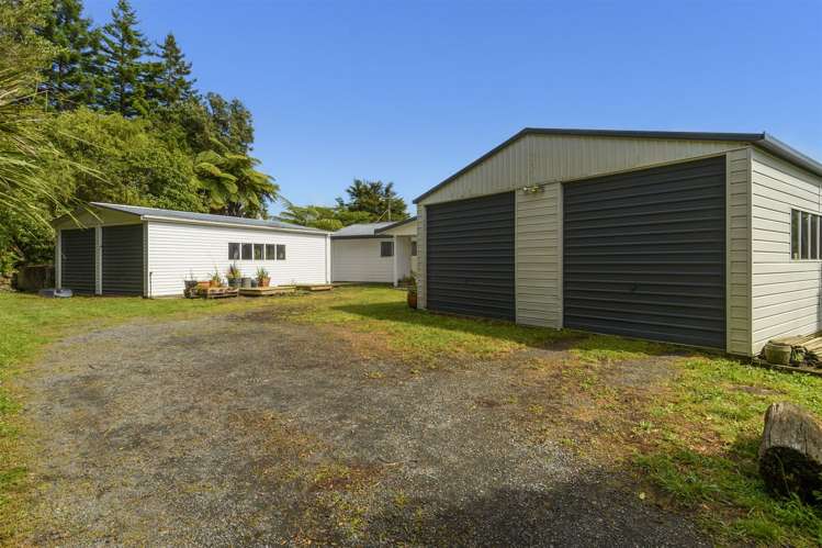 222 Wainui South Road Whakamarama_16