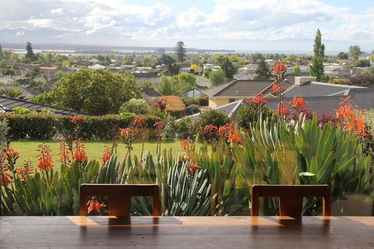 21 Somerset Terrace Stoke_16