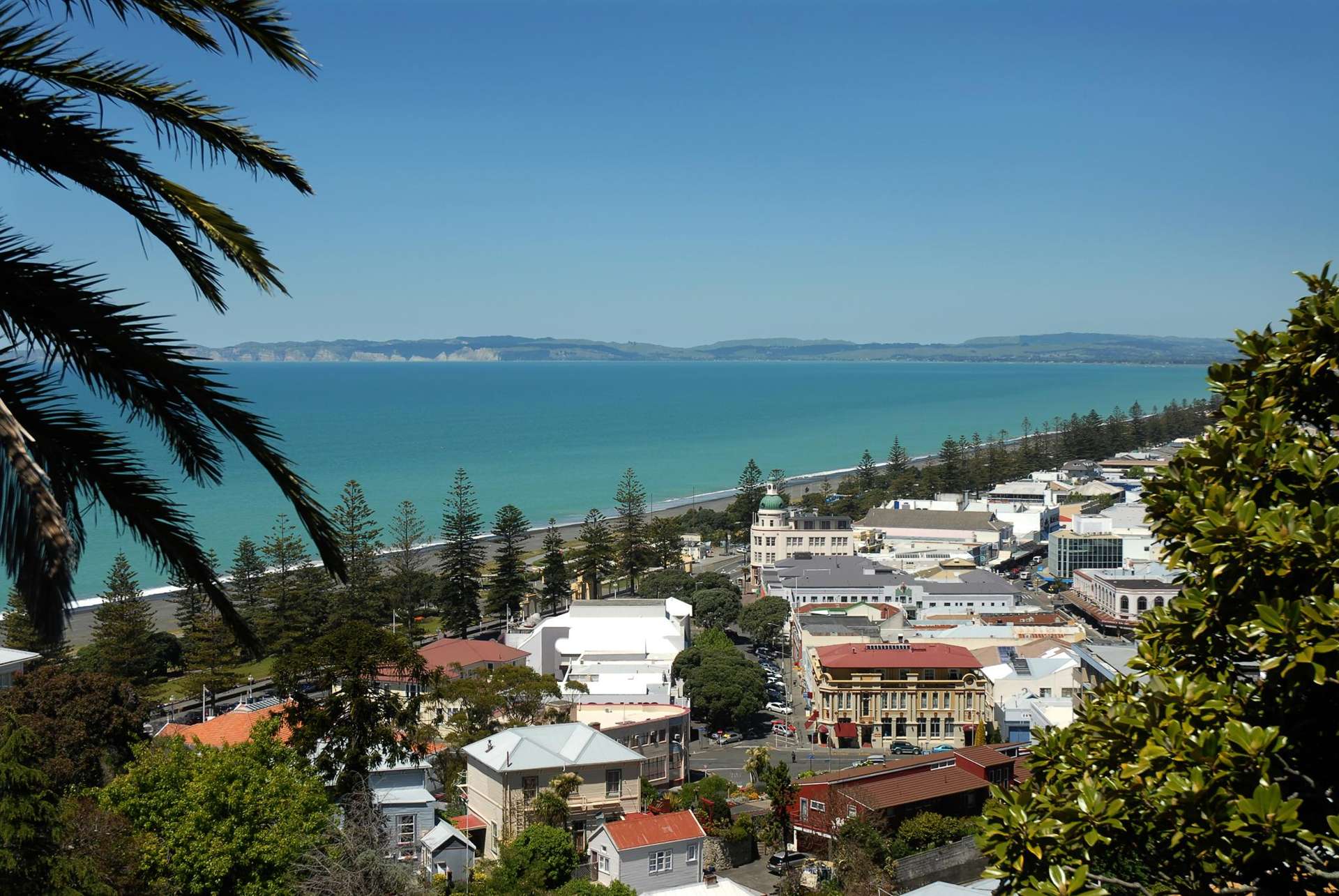Address withheld Napier Cbd_0