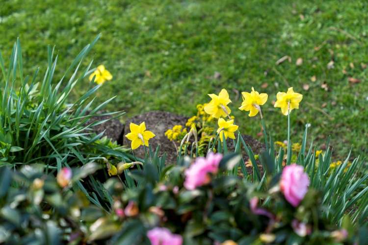 70A Tirimoana Road Te Atatu South_37