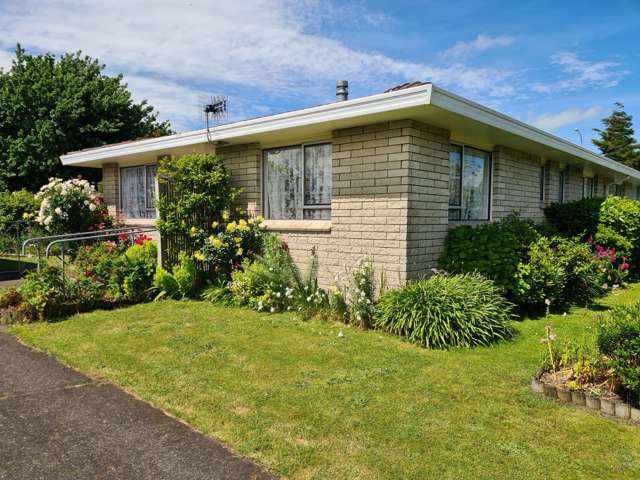 6a Alexandra Street Dannevirke_1