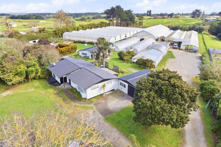 16 Lupton Street Waverley_1