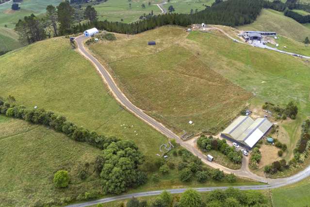 213 Forest Road Oruanui_4