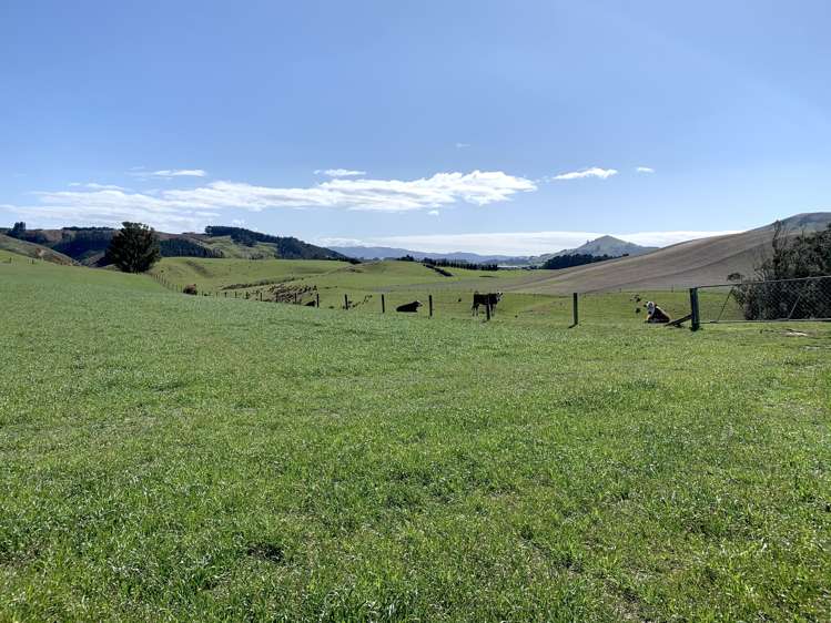 79 Patterson Road Flag Swamp_10