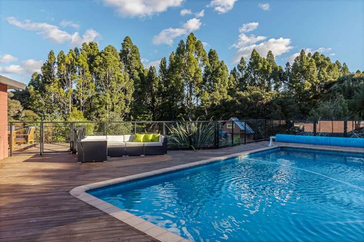 122 Albany Heights Road Albany Heights_16