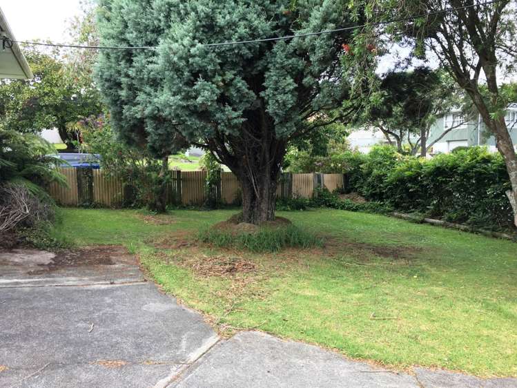 15 Hinau Street New Lynn_6