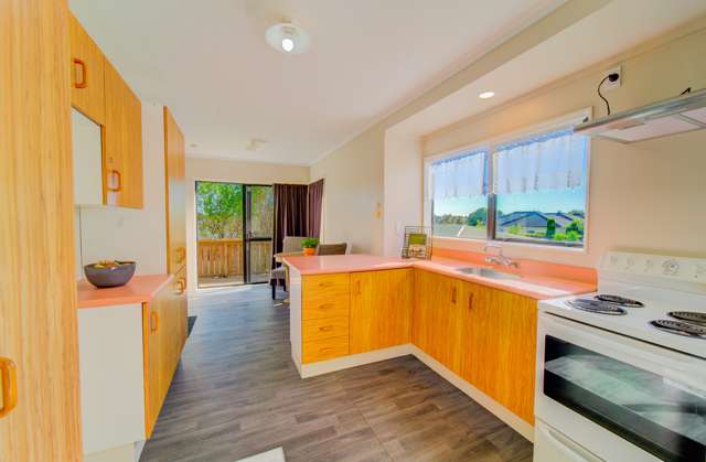 367 Swarbrick Drive Te Awamutu_4