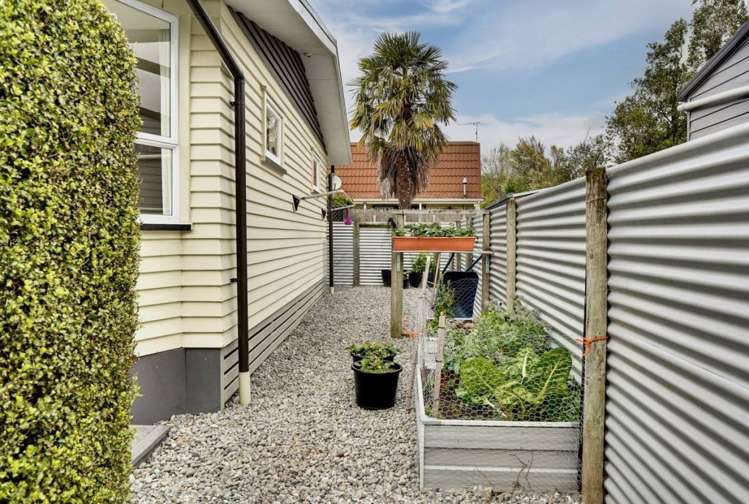 29 Alma Street Renwick_20