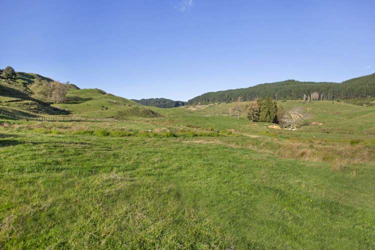 3099 State Highway 4 Te Kuiti_7
