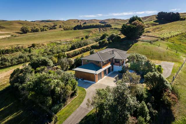 384 Dartmoor Road Puketapu_2