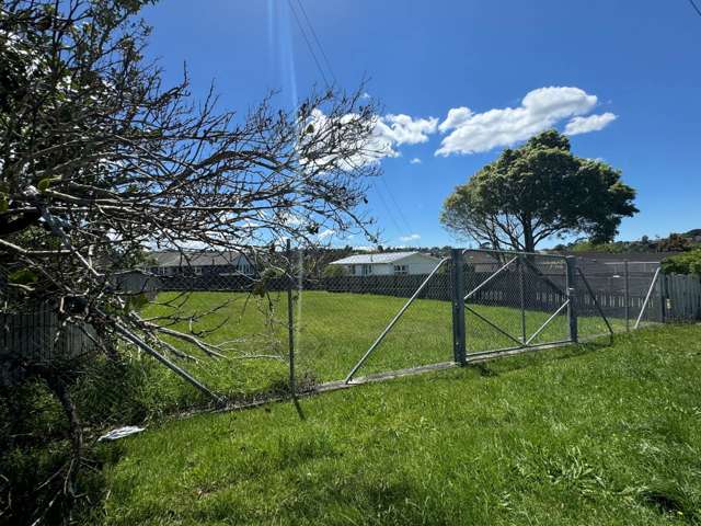 35 Lincoln Park Avenue Massey_2