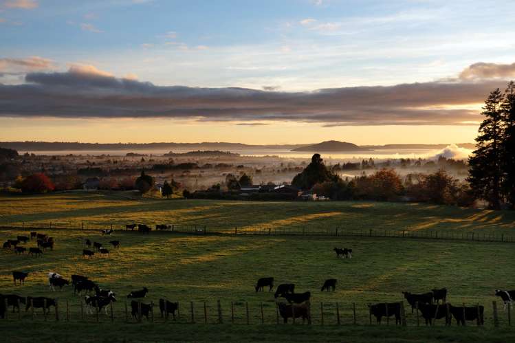 363 Pukehangi Road Sunnybrook_9