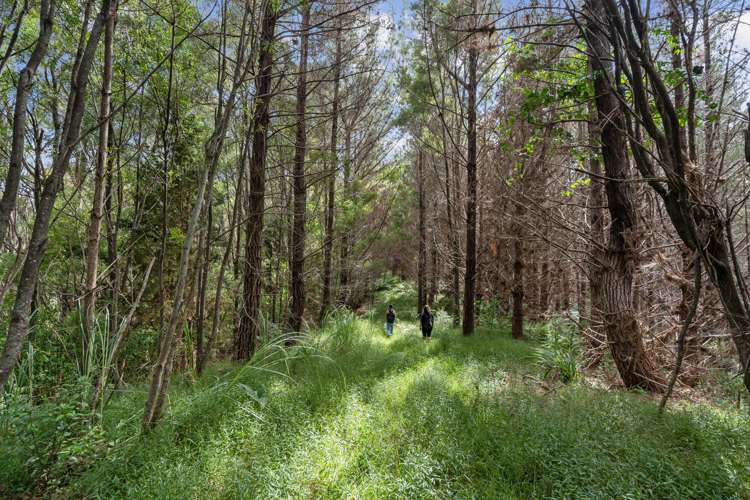 15 Waiparera Road Parua Bay_12