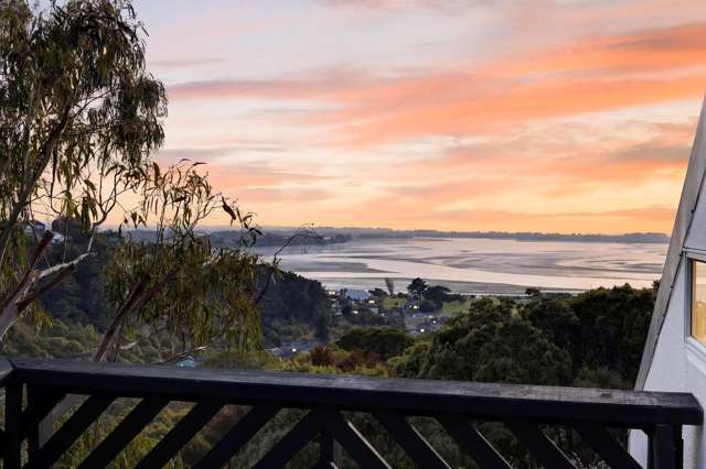 60 Soleares Avenue Mount Pleasant_1