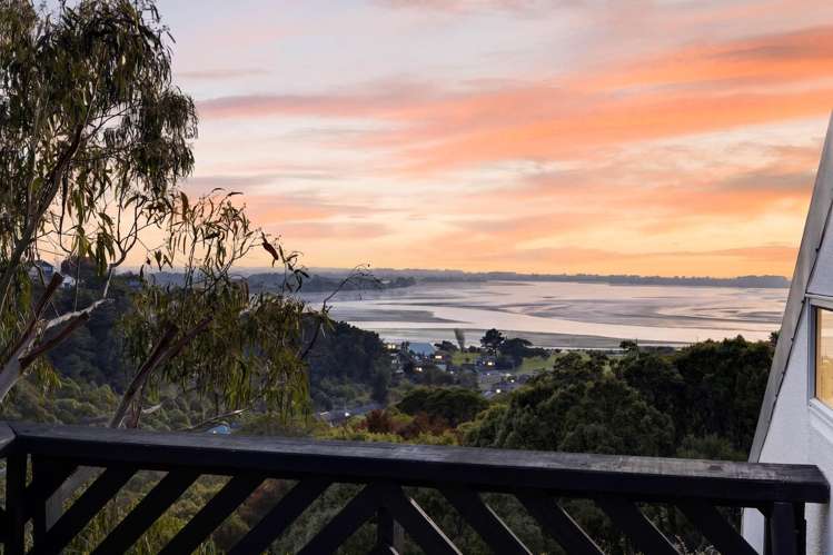 60 Soleares Avenue Mount Pleasant_1