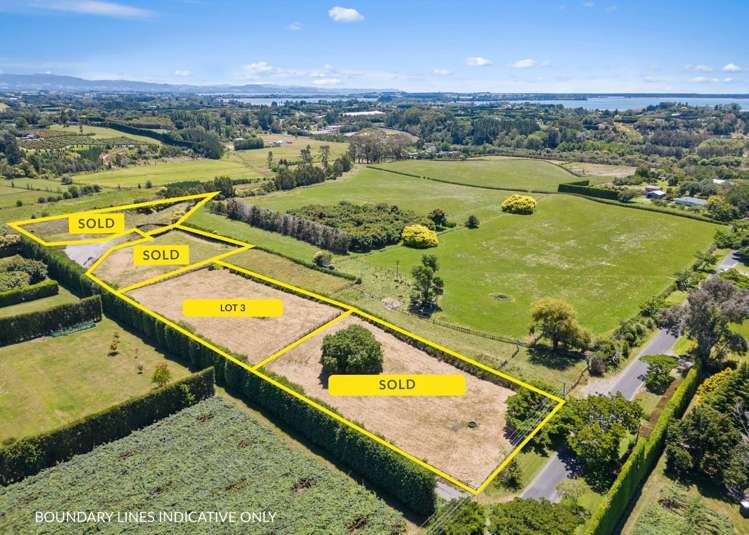 Lot 3/109 Clarke Road_5