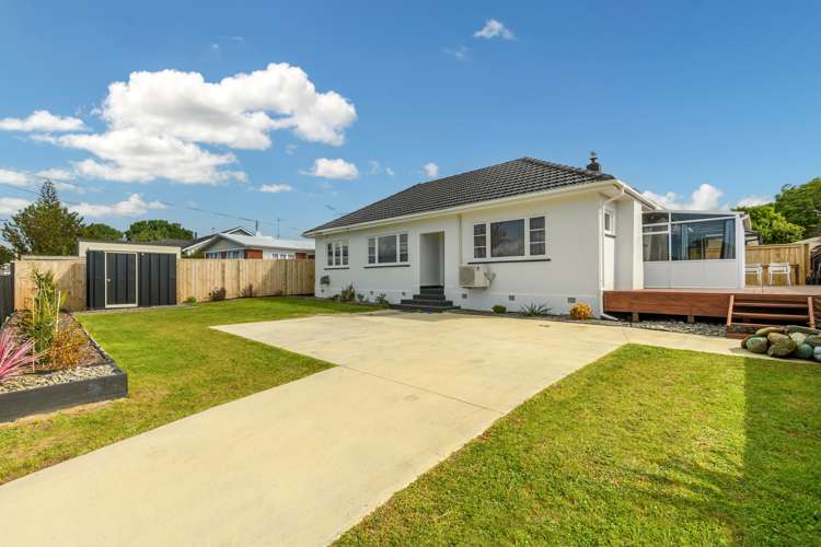 91 Cameron Road Te Puke_4