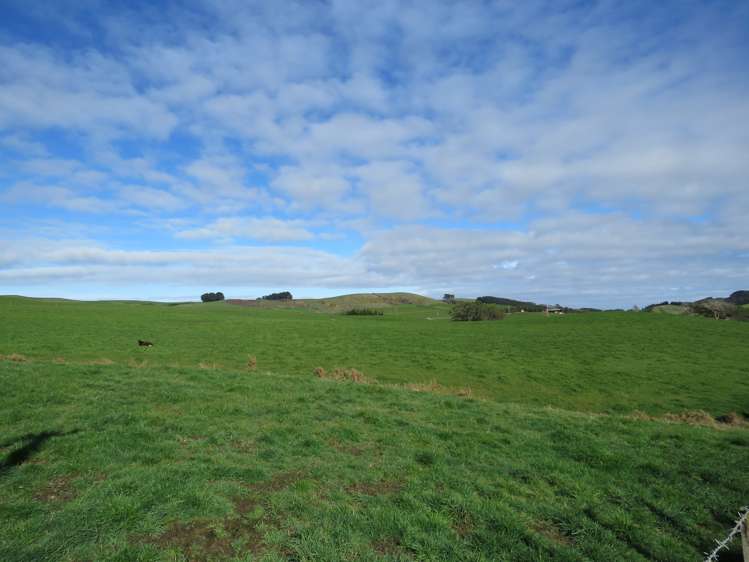 906 Waimahaka Fortification Road Fortification_13