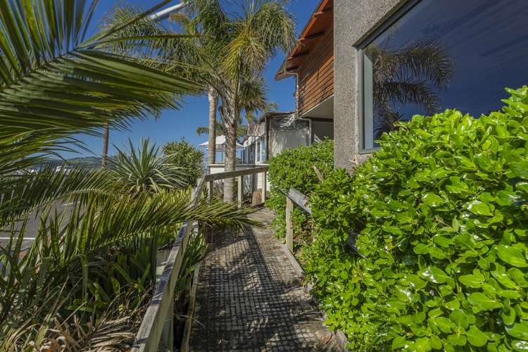 20 The Esplanade Whitianga_18