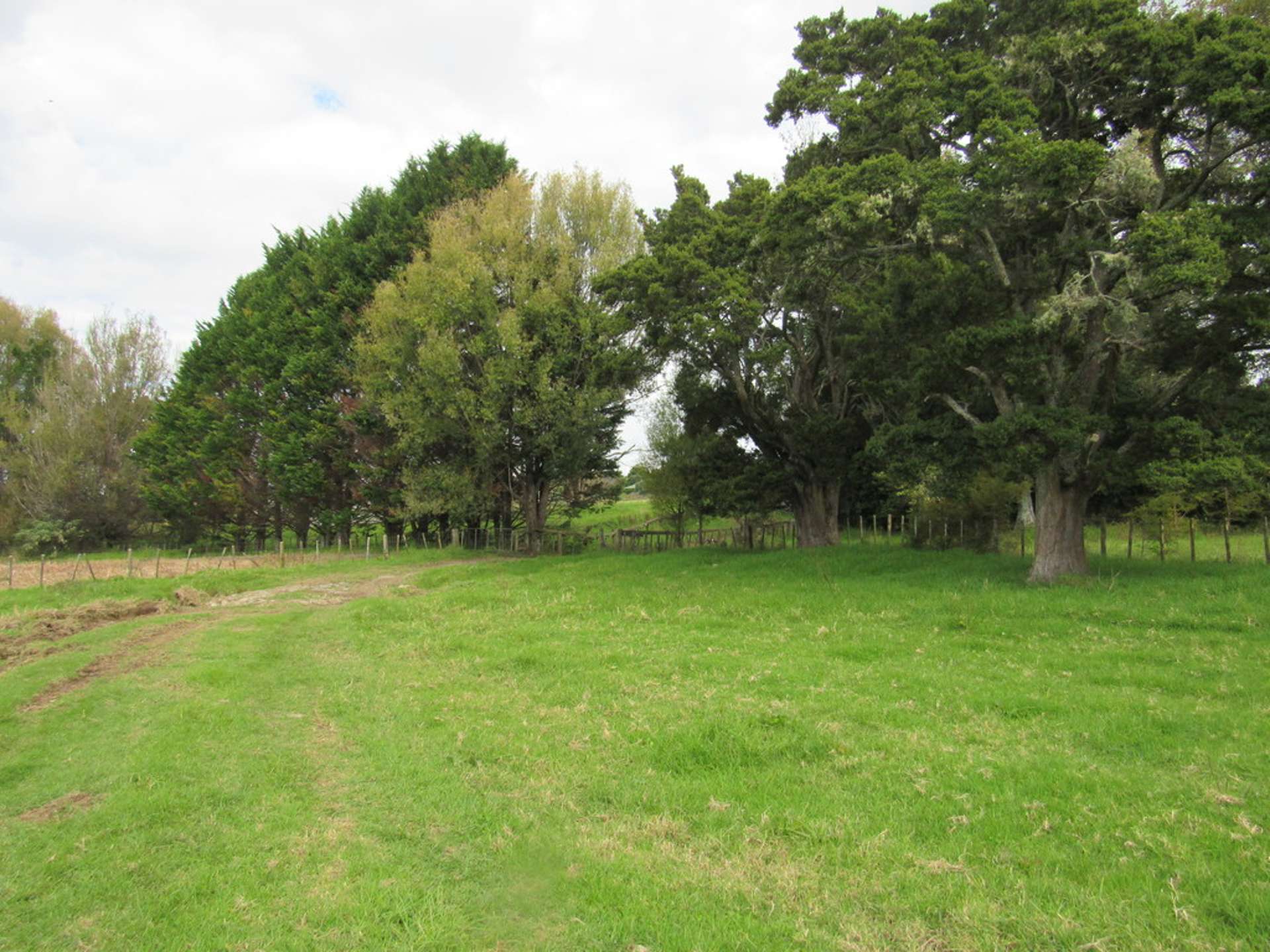 Bisset Road Kaikohe_0