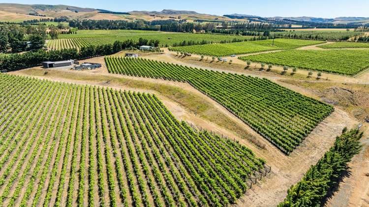 139 Mackenzies Road Waipara_10