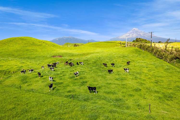 0n Parihaka Road Pungarehu_21