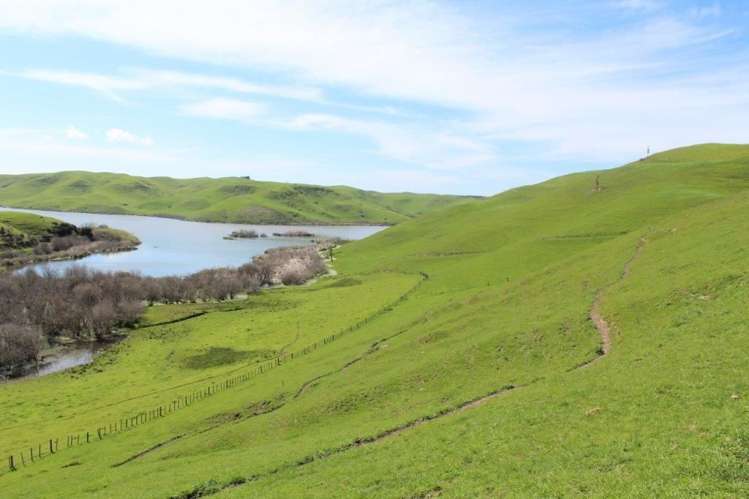 241 Awahuri Road Crownthorpe_7