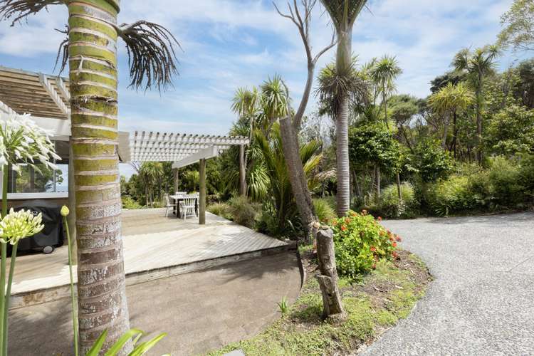 16 La Trobe Track Karekare_9