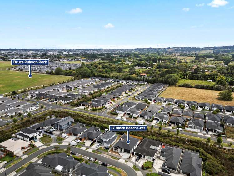 17 Black Beech Crescent Takanini_25