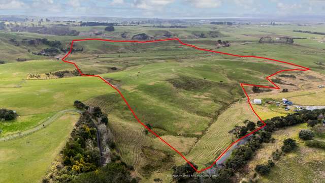 440 Fordyce Road Parakai_1