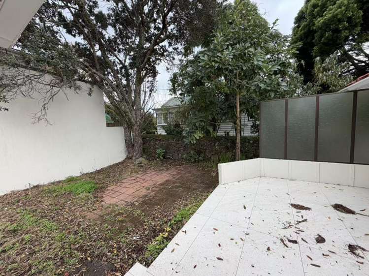 5 Wendell Place Greenlane_10