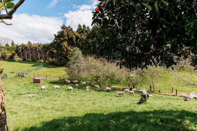 286 Paerata Ridge Road Opotiki_46
