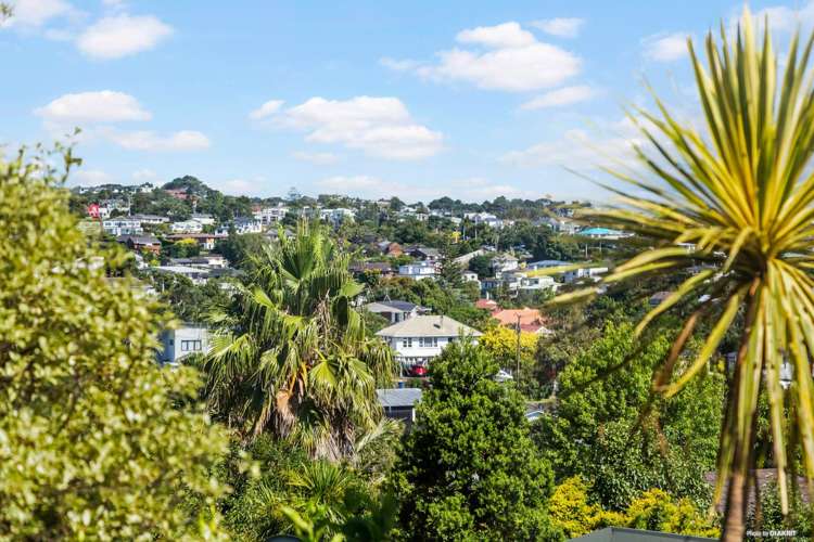 1/87a Kowhai Road Mairangi Bay_3