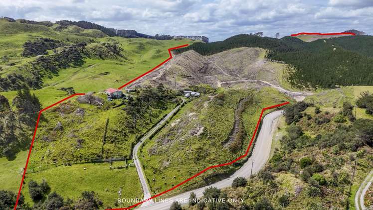 639 Wilson Road, South Head Helensville_4