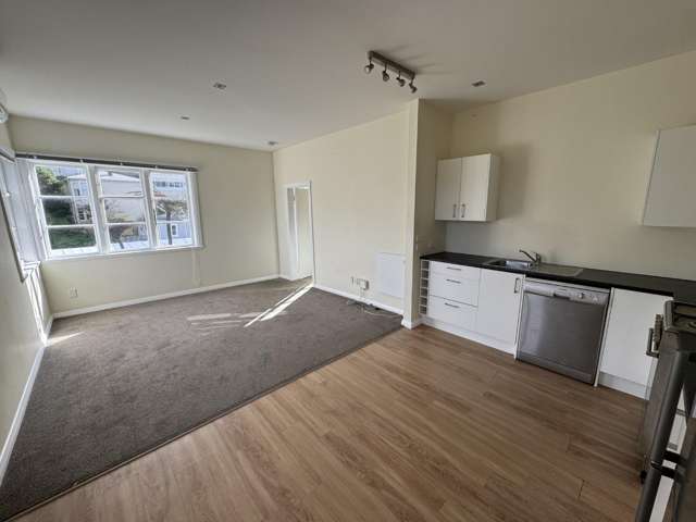 B/17 Plunket Street Kelburn_2