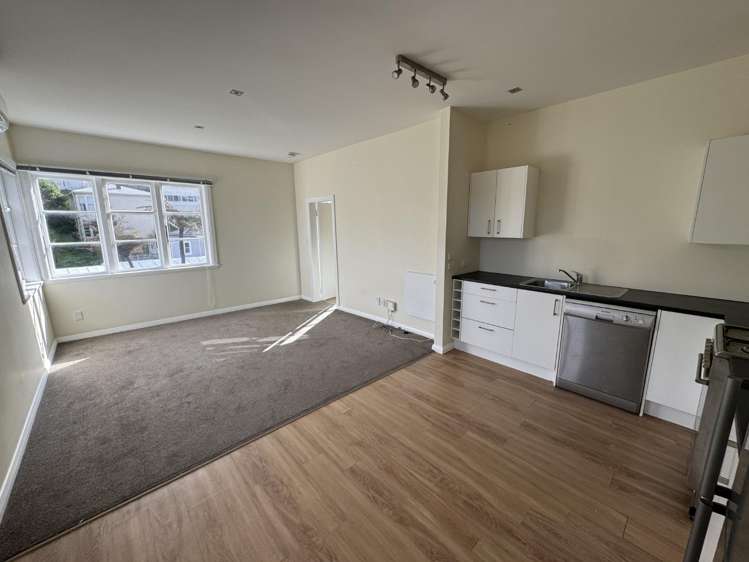 B/17 Plunket Street Kelburn_2