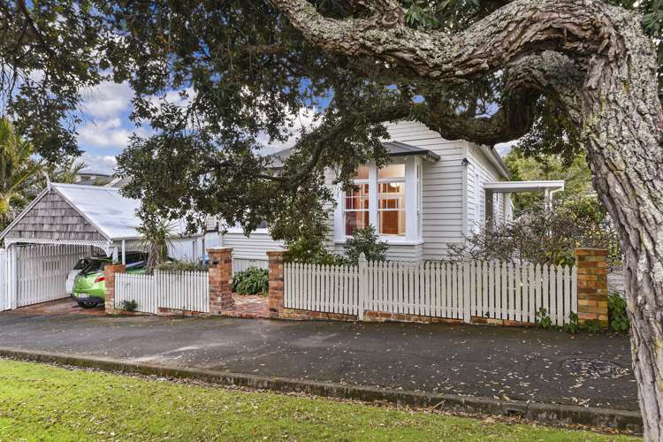 16 Ascot Avenue Narrow Neck_19