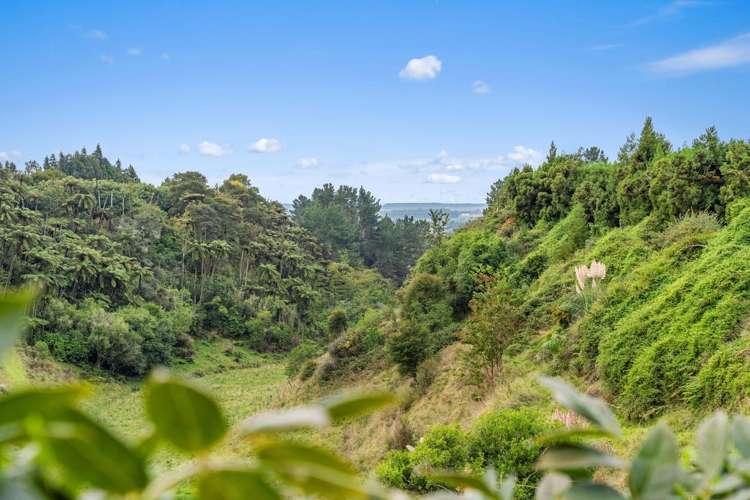 99 Homewood Drive Te Puke_23